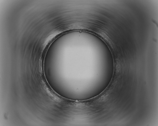 X0000103441030200809191720