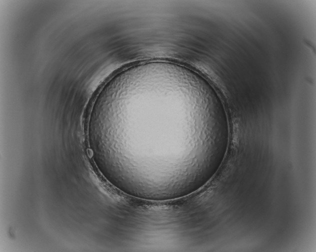 X0000103441031200809191720