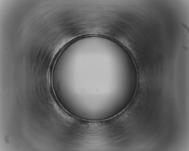 X0000103441032200809191720
