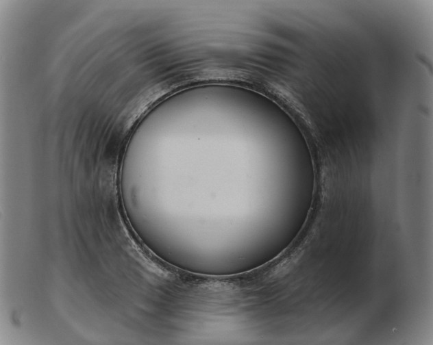 X0000103441033200809191720