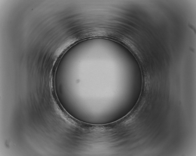 X0000103441034200809191720
