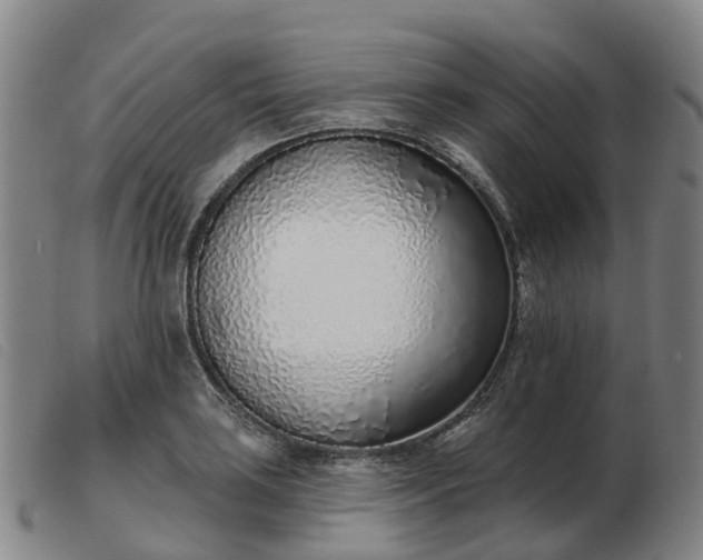 X0000103441035200809191720