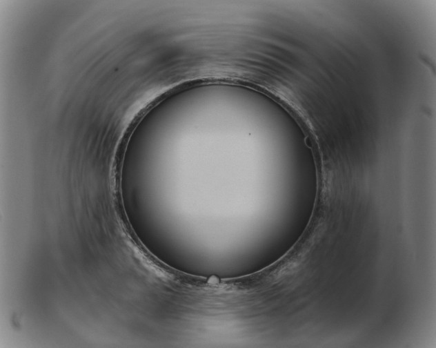 X0000103441037200809191720