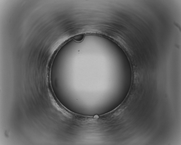 X0000103441038200809191720