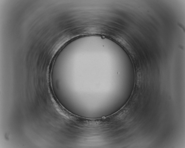 X0000103441039200809191720