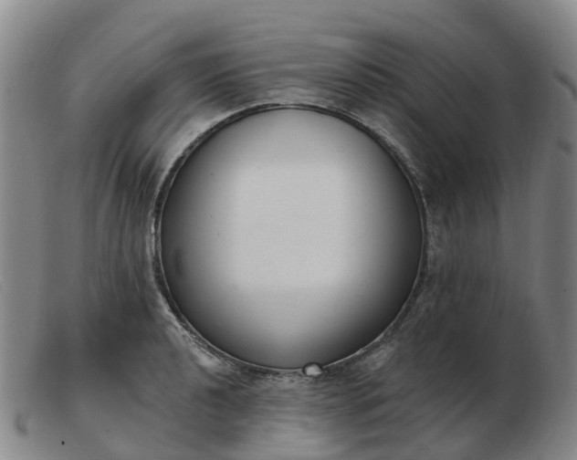 X0000103441040200809191720