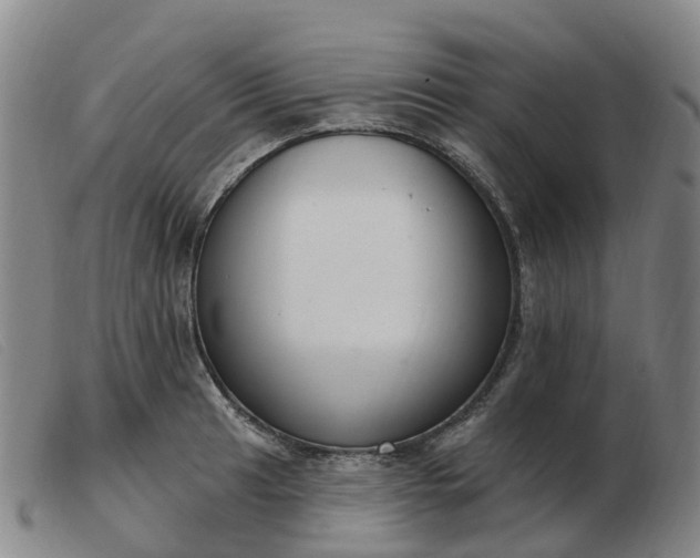 X0000103441041200809191720