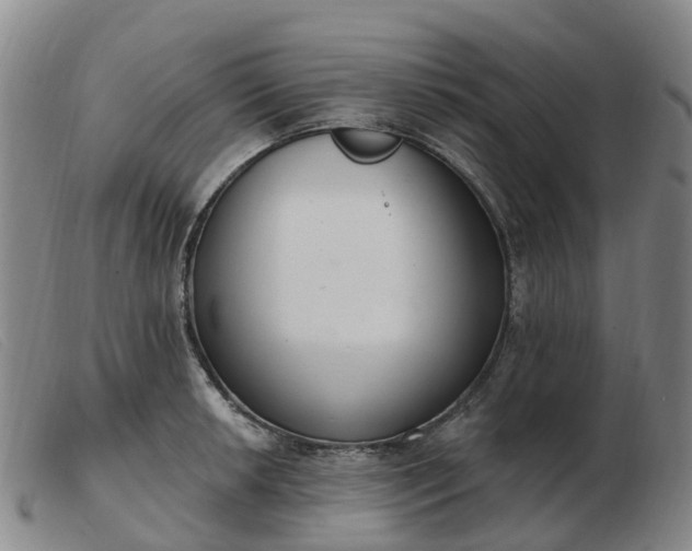 X0000103441042200809191720