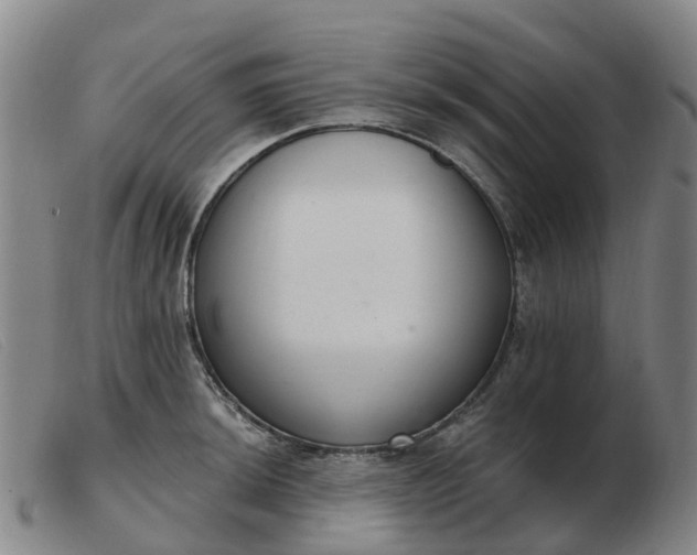 X0000103441044200809191720