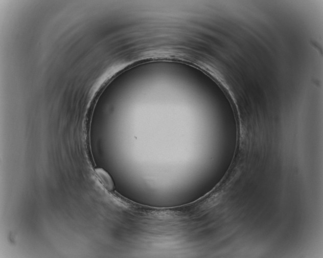 X0000103441045200809191720