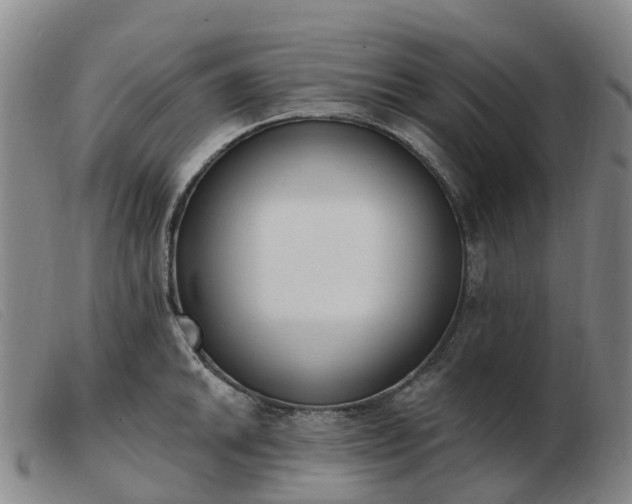 X0000103441046200809191720