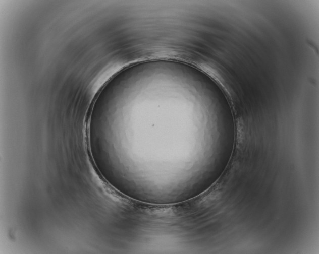 X0000103441047200809191720