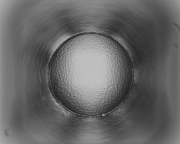 X0000103441048200809191720