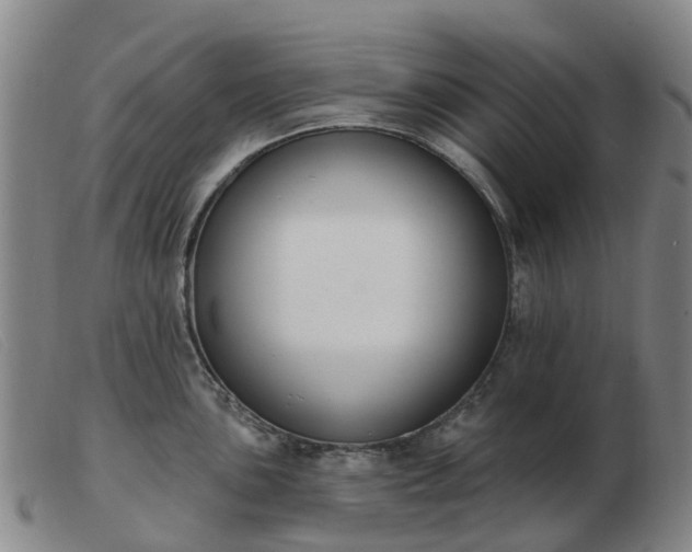 X0000103441051200809191720