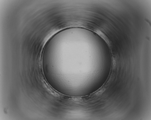 X0000103441052200809191720