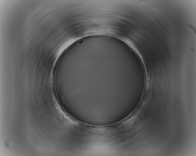 X0000103441053200809191720