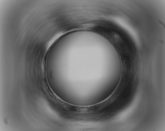 X0000103441054200809191720
