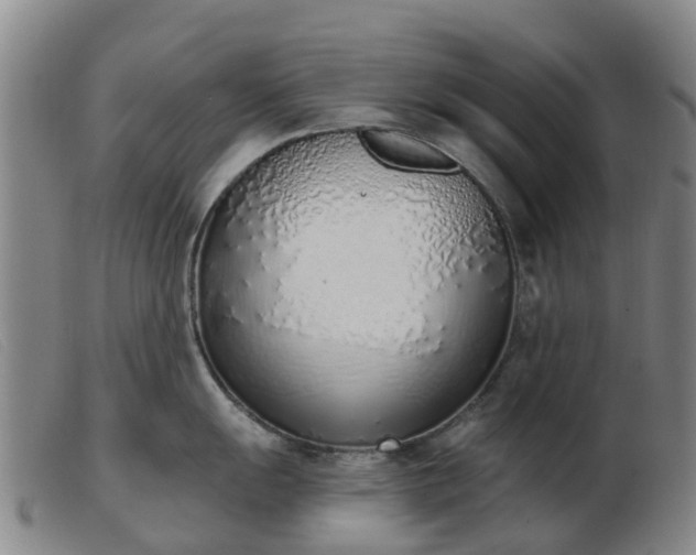 X0000103441055200809191720