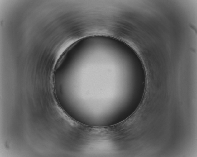 X0000103441056200809191720
