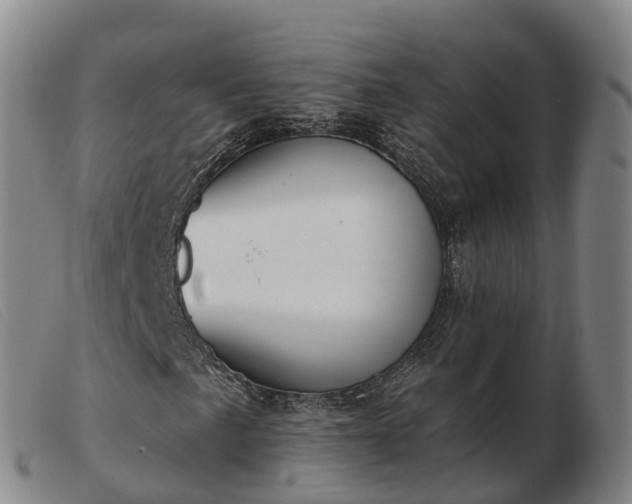 X0000103441057200809191719