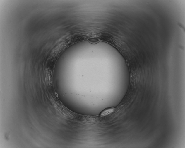 X0000103441058200809191719
