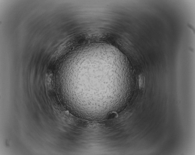 X0000103441059200809191719