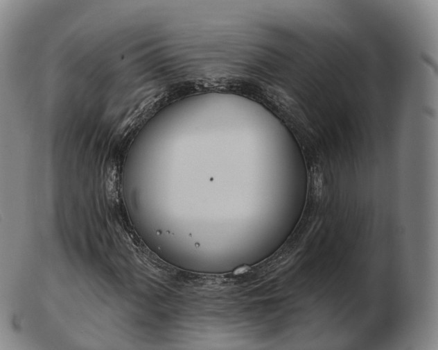 X0000103441060200809191719