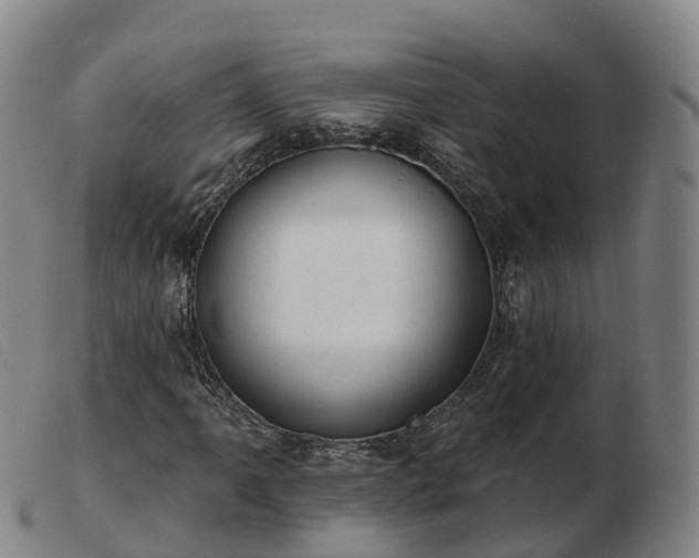 X0000103441061200809191719