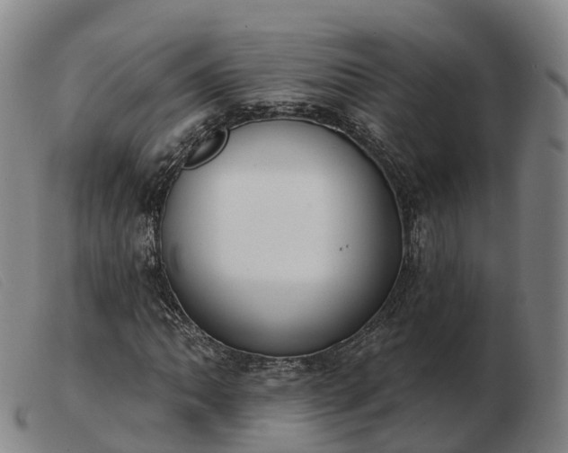 X0000103441062200809191719