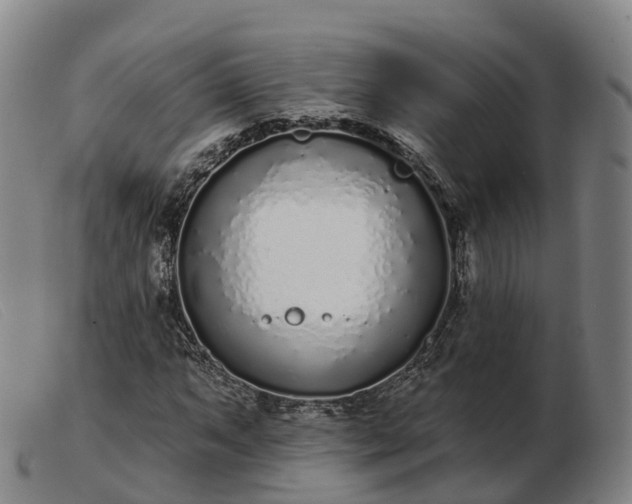 X0000103441063200809191719