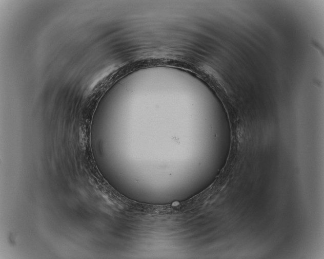 X0000103441064200809191719