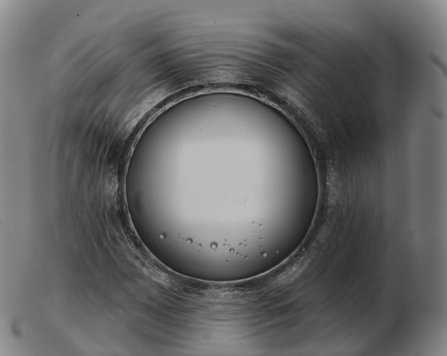 X0000103441065200809191719