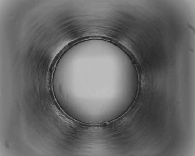 X0000103441068200809191719