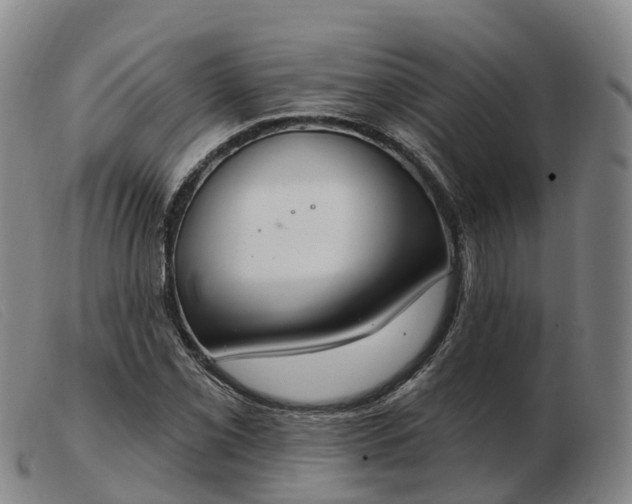 X0000103441069200809191719