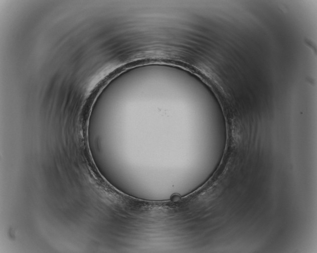 X0000103441070200809191719