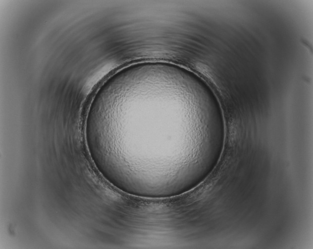 X0000103441071200809191719