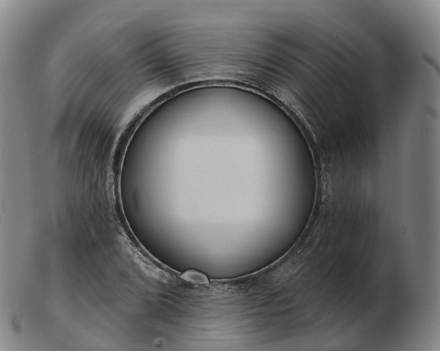 X0000103441072200809191719