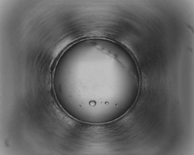 X0000103441075200809191719