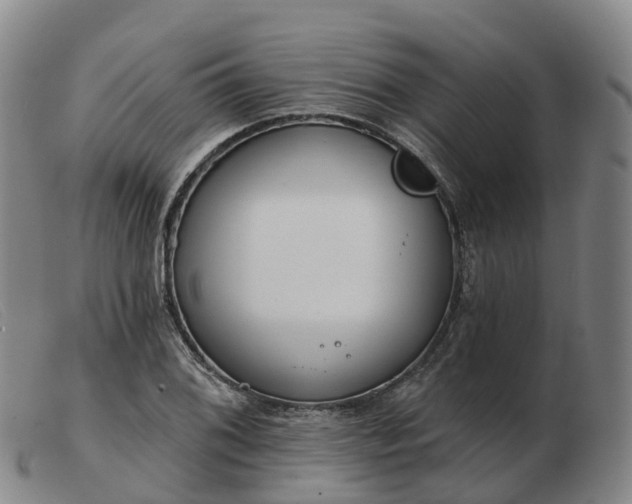 X0000103441076200809191719