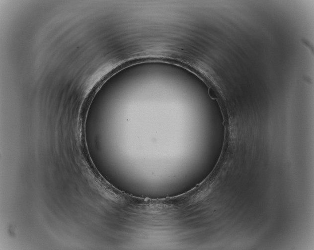 X0000103441077200809191719