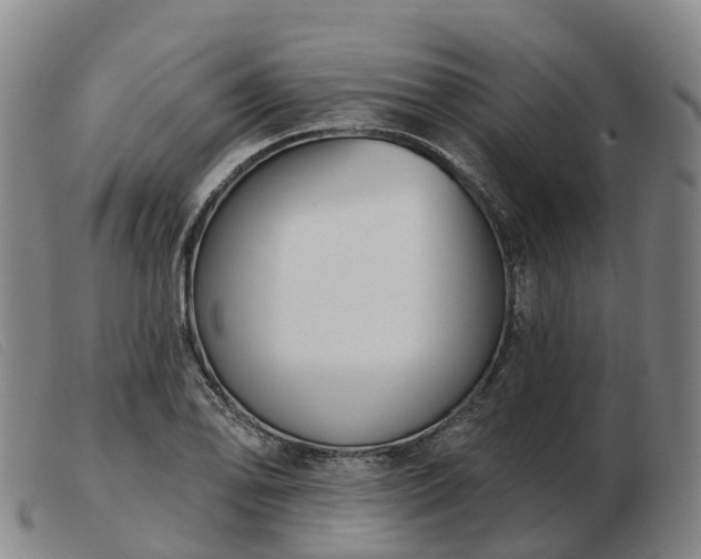 X0000103441078200809191719