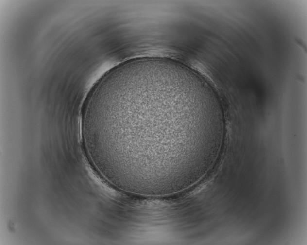 X0000103441079200809191719