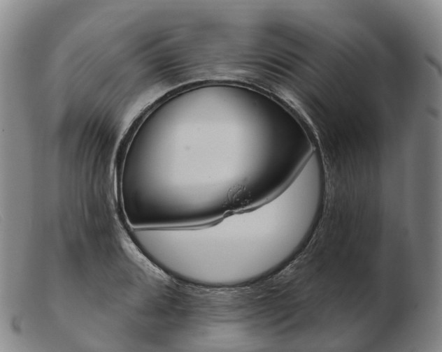 X0000103441080200809191719