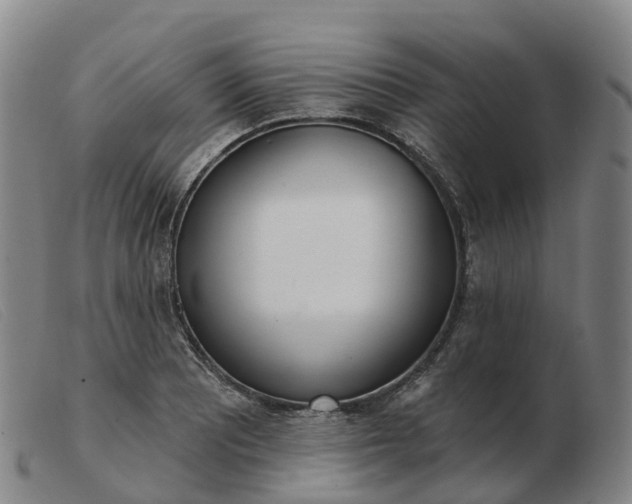 X0000103441081200809191719