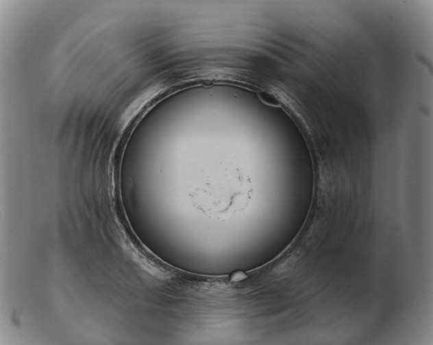 X0000103441082200809191719