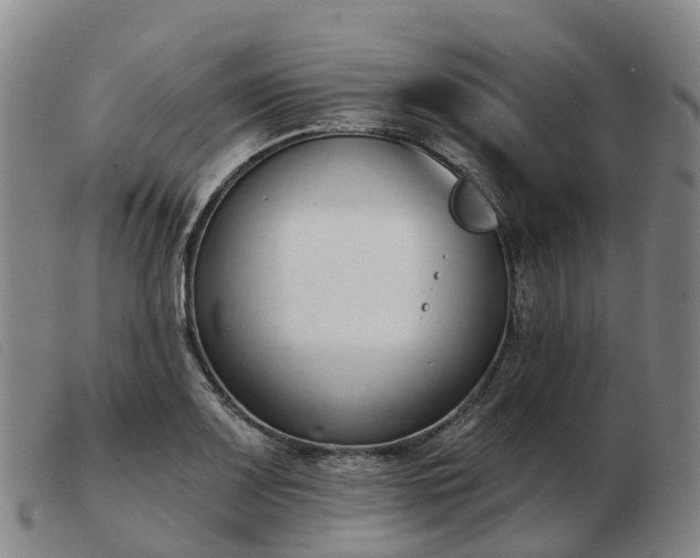 X0000103441083200809191719