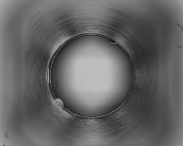 X0000103441084200809191719