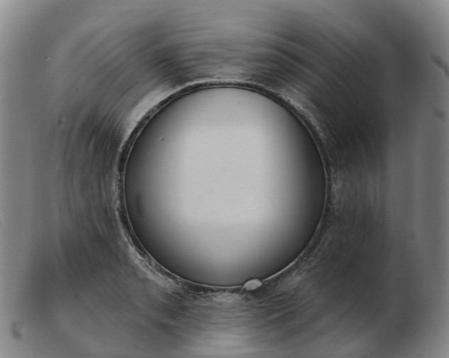 X0000103441085200809191719
