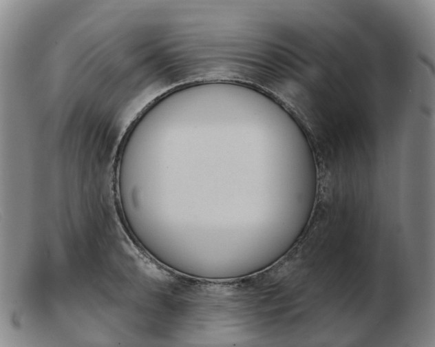 X0000103441086200809191719