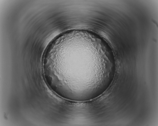 X0000103441087200809191719